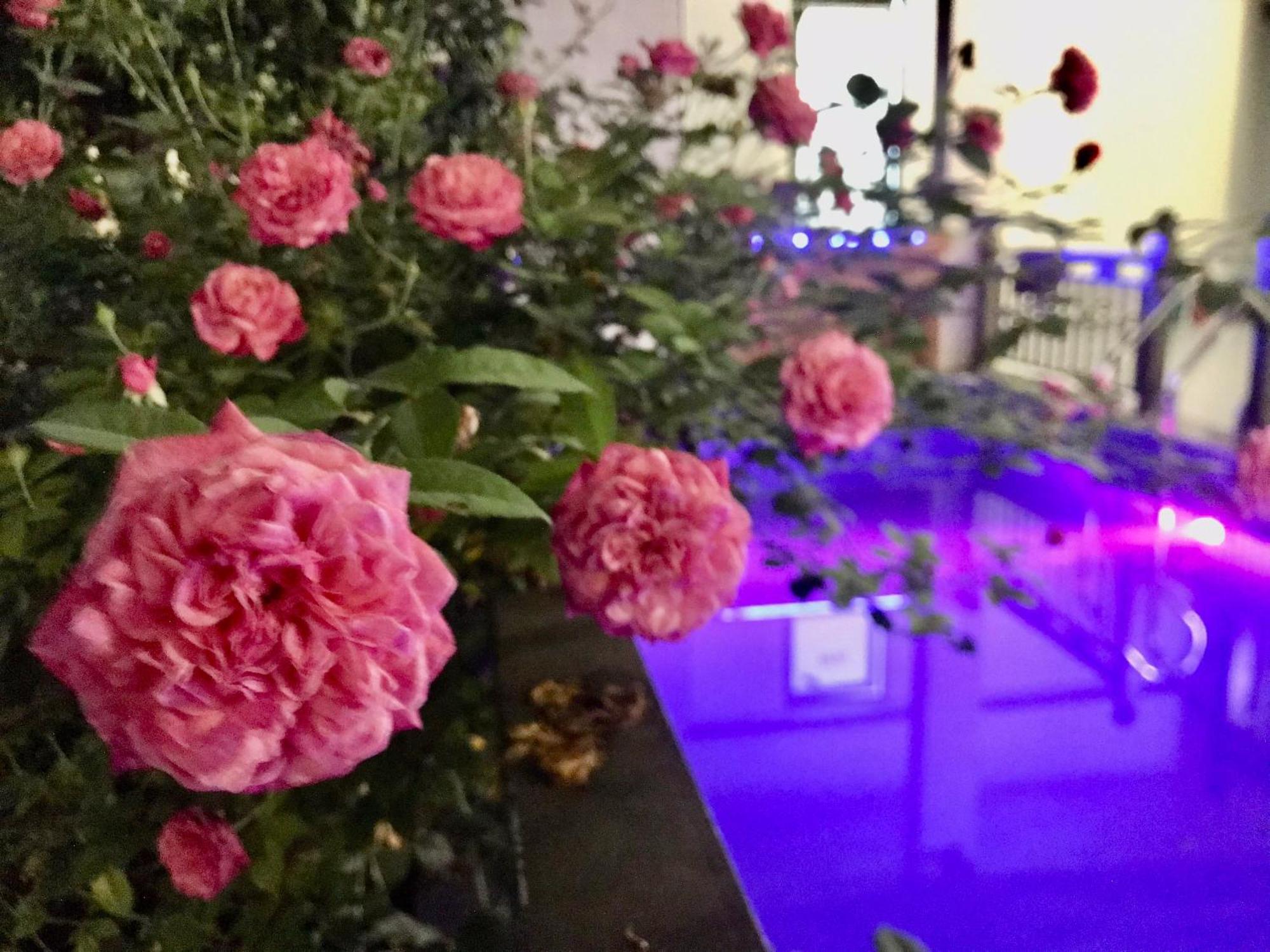 A Thia Homestay Дьенбьенфу Экстерьер фото